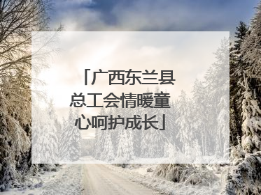 广西东兰县总工会情暖童心呵护成长