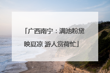 广西南宁：满池粉黛映夏凉 游人赏荷忙