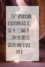广西壮族自治区总工会十三届十二次全委会议在南宁召开