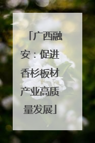 广西融安：促进香杉板材产业高质量发展