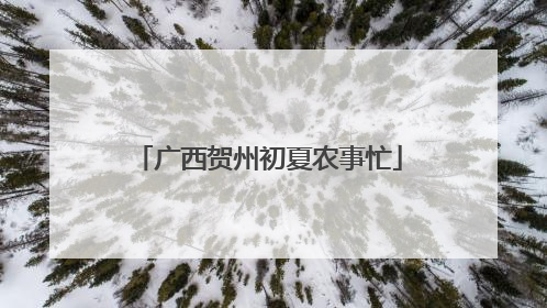 广西贺州初夏农事忙