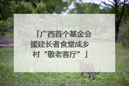 广西首个基金会援建长者食堂成乡村“敬老客厅”