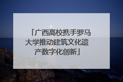 广西高校携手罗马大学推动建筑文化遗产数字化创新