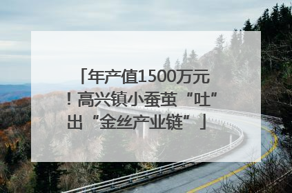 年产值1500万元！高兴镇小蚕茧“吐”出“金丝产业链”