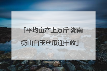 平均亩产上万斤 湖南衡山白玉丝瓜迎丰收