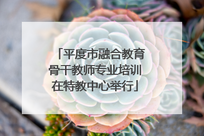 平度市融合教育骨干教师专业培训在特教中心举行