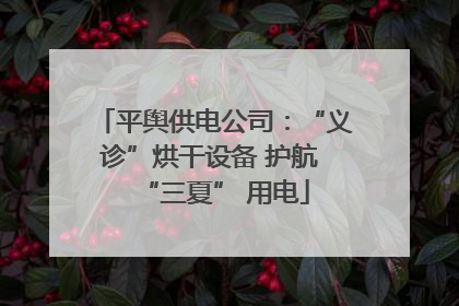 平舆供电公司：“义诊”烘干设备 护航 “三夏” 用电