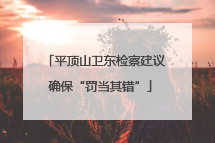平顶山卫东检察建议确保“罚当其错”