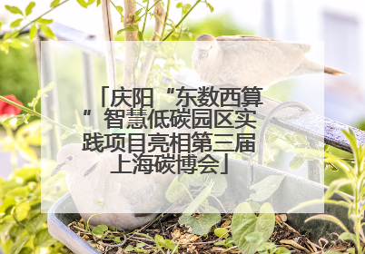 庆阳“东数西算”智慧低碳园区实践项目亮相第三届上海碳博会