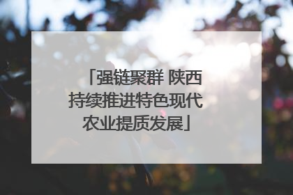 强链聚群 陕西持续推进特色现代农业提质发展
