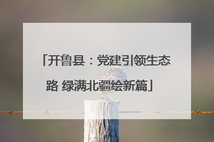 开鲁县：党建引领生态路 绿满北疆绘新篇