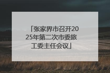 张家界市召开2025年第二次市委旅工委主任会议