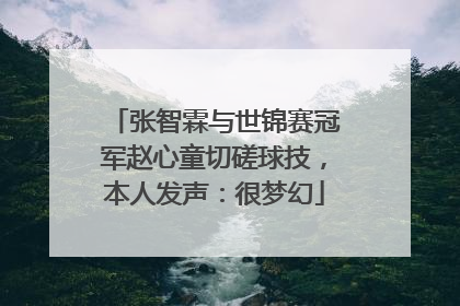 张智霖与世锦赛冠军赵心童切磋球技，本人发声：很梦幻