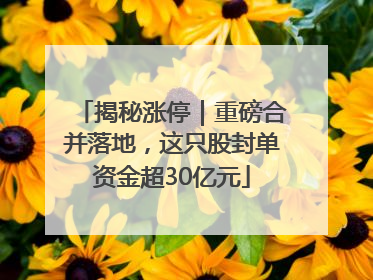 揭秘涨停｜重磅合并落地，这只股封单资金超30亿元