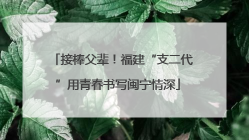 接棒父辈！福建“支二代”用青春书写闽宁情深