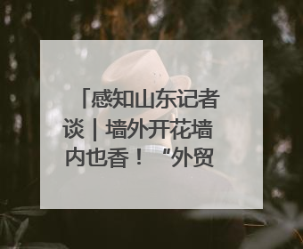 感知山东记者谈｜墙外开花墙内也香！“外贸优品”打通国内国际市场“旋转门”