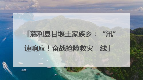 慈利县甘堰土家族乡：“汛”速响应！奋战抢险救灾一线
