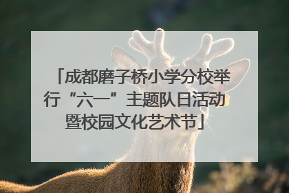成都磨子桥小学分校举行“六一”主题队日活动暨校园文化艺术节