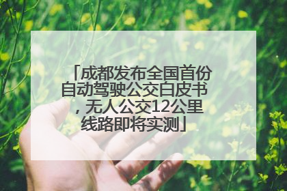 成都发布全国首份自动驾驶公交白皮书，无人公交12公里线路即将实测