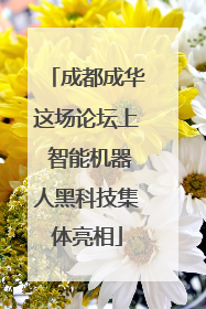 成都成华这场论坛上 智能机器人黑科技集体亮相