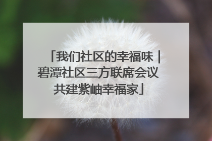 我们社区的幸福味｜碧潭社区三方联席会议共建紫岫幸福家