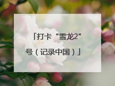 打卡“雪龙2”号（记录中国）