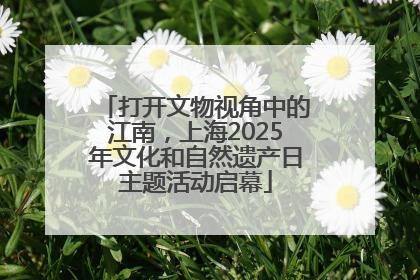 打开文物视角中的江南，上海2025年文化和自然遗产日主题活动启幕