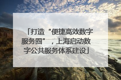 打造“便捷高效数字服务圈”，上海启动数字公共服务体系建设