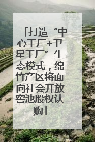 打造“中心工厂+卫星工厂”生态模式，绵竹产区将面向社会开放窖池股权认购