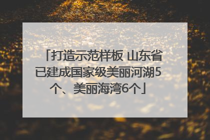 打造示范样板 山东省已建成国家级美丽河湖5个、美丽海湾6个
