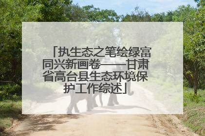 执生态之笔绘绿富同兴新画卷——甘肃省高台县生态环境保护工作综述