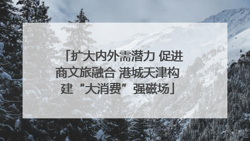 扩大内外需潜力 促进商文旅融合 港城天津构建“大消费”强磁场