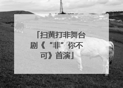 扫黄打非舞台剧《“非”你不可》首演
