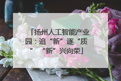 扬州人工智能产业园：追“新”逐“质” “新”兴向荣