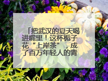 把武汉的夏天喝进嘴里！这杯栀子花“上岸茶”，成了百万年轻人的青春暗号