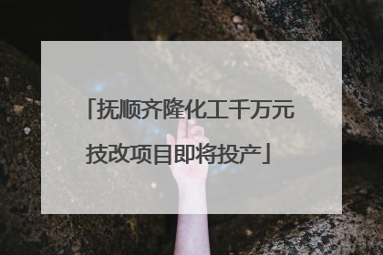 抚顺齐隆化工千万元技改项目即将投产