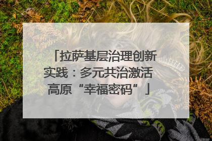 拉萨基层治理创新实践：多元共治激活高原“幸福密码”