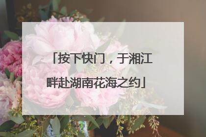 按下快门，于湘江畔赴湖南花海之约