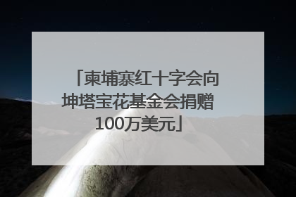 柬埔寨红十字会向坤塔宝花基金会捐赠100万美元