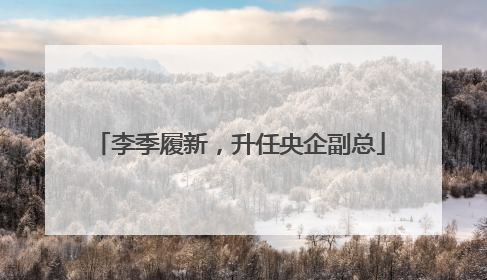 李季履新，升任央企副总
