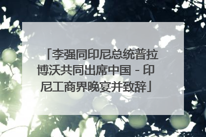 李强同印尼总统普拉博沃共同出席中国－印尼工商界晚宴并致辞