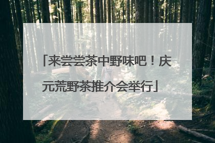 来尝尝茶中野味吧！庆元荒野茶推介会举行