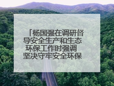 杨国强在调研督导安全生产和生态环保工作时强调 坚决守牢安全环保底线红线 为全市经济社会高质量发展提供坚强保障