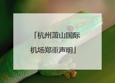 杭州萧山国际机场郑重声明
