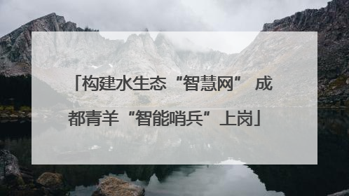 构建水生态“智慧网” 成都青羊“智能哨兵”上岗