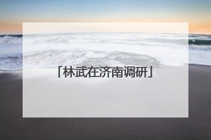 林武在济南调研