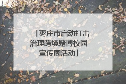 枣庄市启动打击治理跨境赌博校园宣传周活动