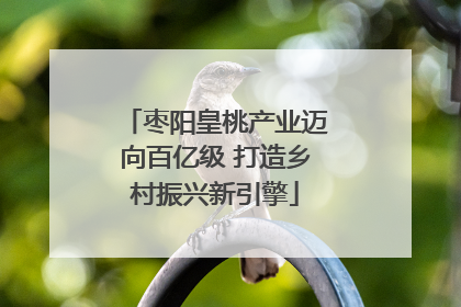枣阳皇桃产业迈向百亿级 打造乡村振兴新引擎