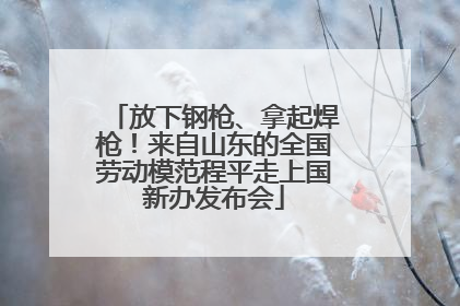 放下钢枪、拿起焊枪！来自山东的全国劳动模范程平走上国新办发布会