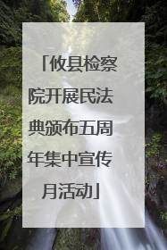 攸县检察院开展民法典颁布五周年集中宣传月活动